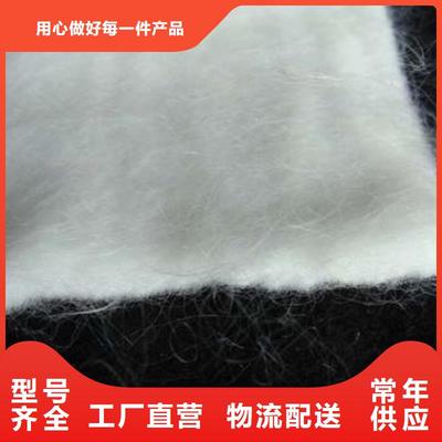 長絲復合土工布 現代工程中的多功能防護衛士